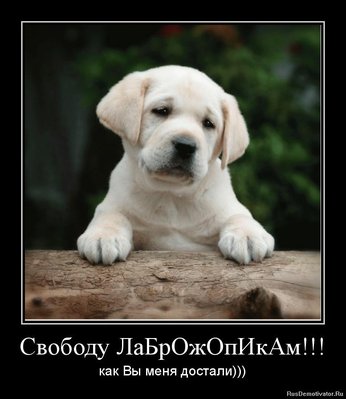 image_e9bc20647be82adf7838d288510fc361.jpg