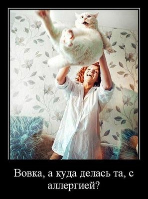 Аллергия