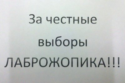 IMG_20120207_162327.jpg