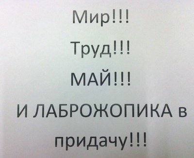 IMG_20120207_162503.jpg
