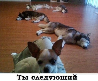 x_53e35526.jpg