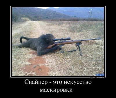 418818_snajper-eto-iskusstvo-maskirovki-_demotivators_ru.jpg