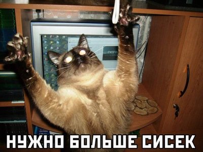 x_142b2c5a.jpg