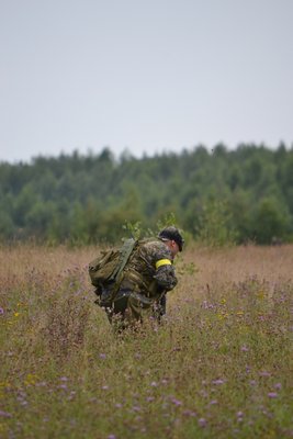 0_8ec26_31942f85_XXXL.jpg