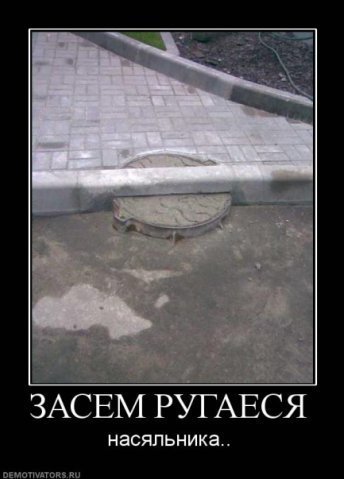 555.jpg