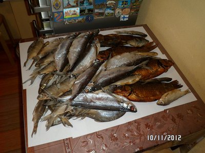 2012 095.JPG