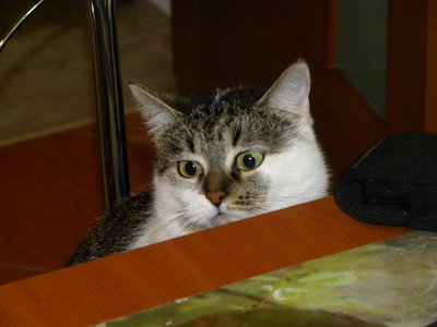DSCN2896.JPG