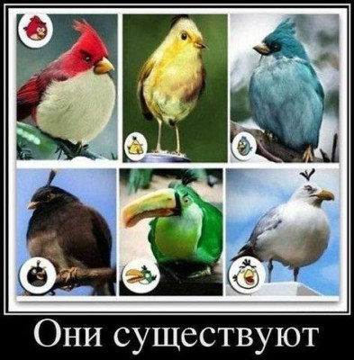 Фотография(1).jpg