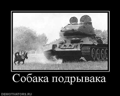 487271_sobaka-podryivaka.jpg