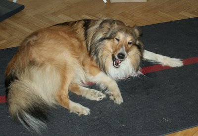 DSC05921.JPG