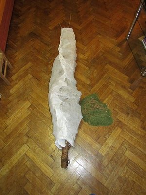 IMG_0120.JPG