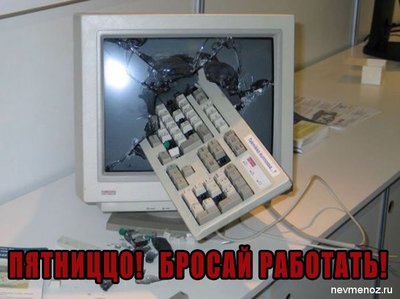 844866.jpg