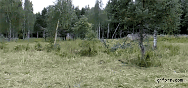 kusteg.gif