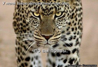 img_4528859_1610_0.jpg