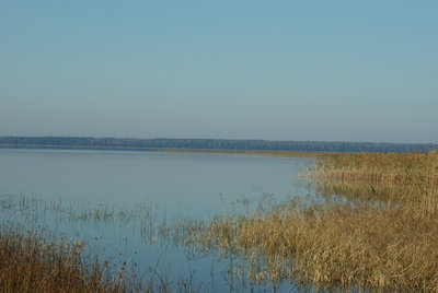 DSC05357.JPG
