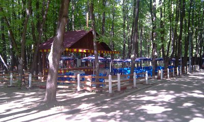 IMAG0074.jpg