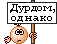Дурдом :durdom: